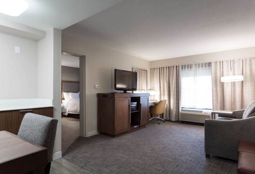 Suite, Hampton Inn & Suites Dallasdfw Airport Northgrapevine