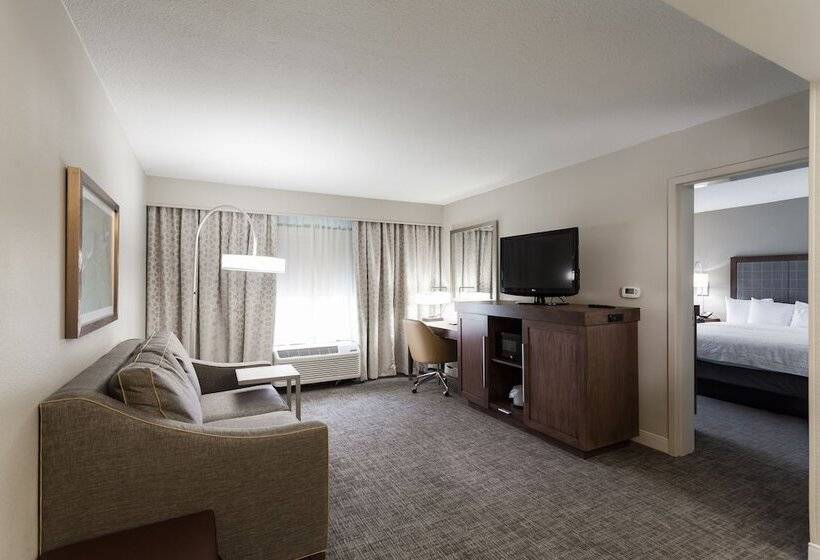 套房, Hampton Inn & Suites Dallasdfw Airport Northgrapevine