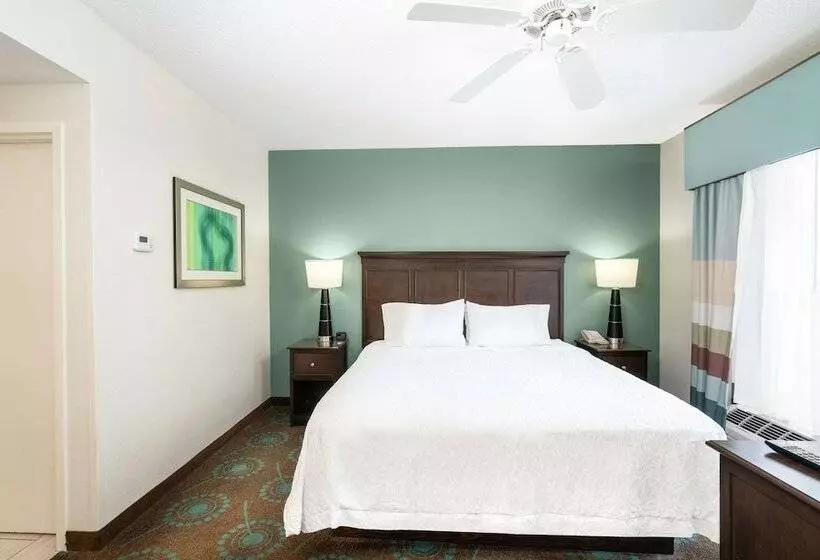 キングサイズベッドのスイートルーム, Hampton Inn & Suites Mooresville/lake Norman