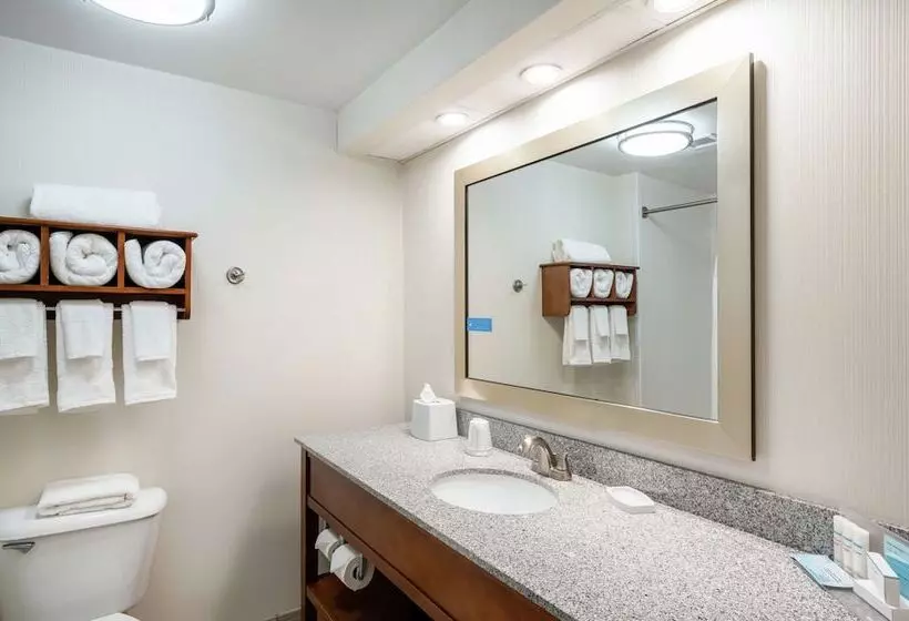 キングサイズベッドのエクゼクティブルーム, Hampton Inn & Suites Mooresville/lake Norman