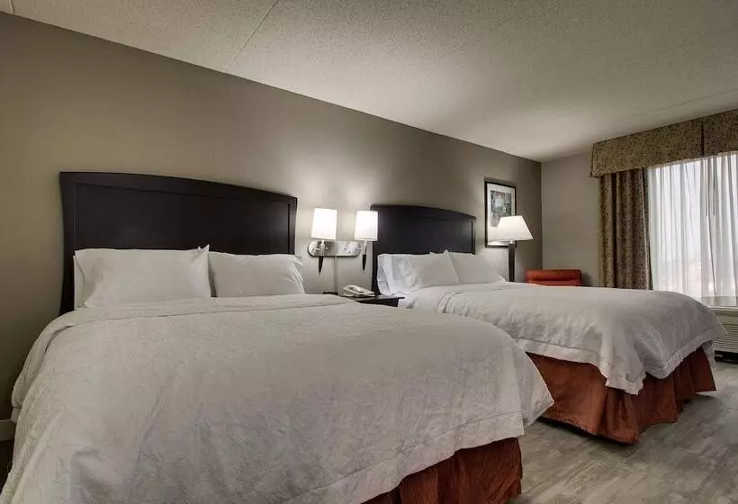スタンダードルーム, Hampton Inn & Suites Spartanburgi26westgate Mall