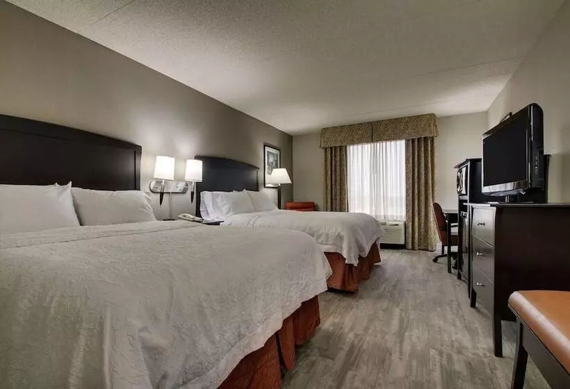 スタンダードルーム, Hampton Inn & Suites Spartanburgi26westgate Mall