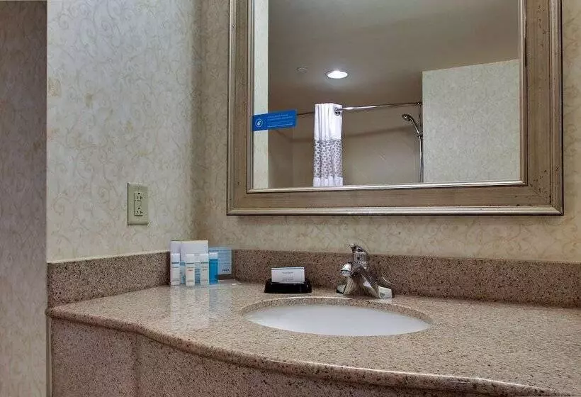 スタンダードルーム, Hampton Inn & Suites Spartanburgi26westgate Mall