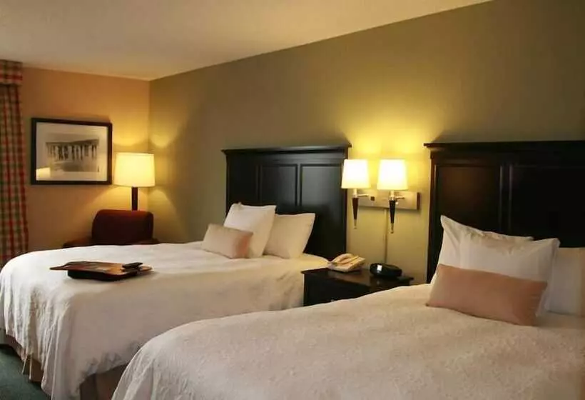 Standard-huone, Hidden Falls Inn