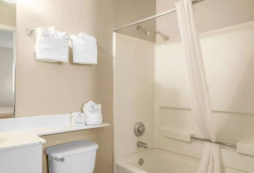 اتاق استاندارد با 2 تخت دوبل, Tampa Bay Extended Stay   Airport