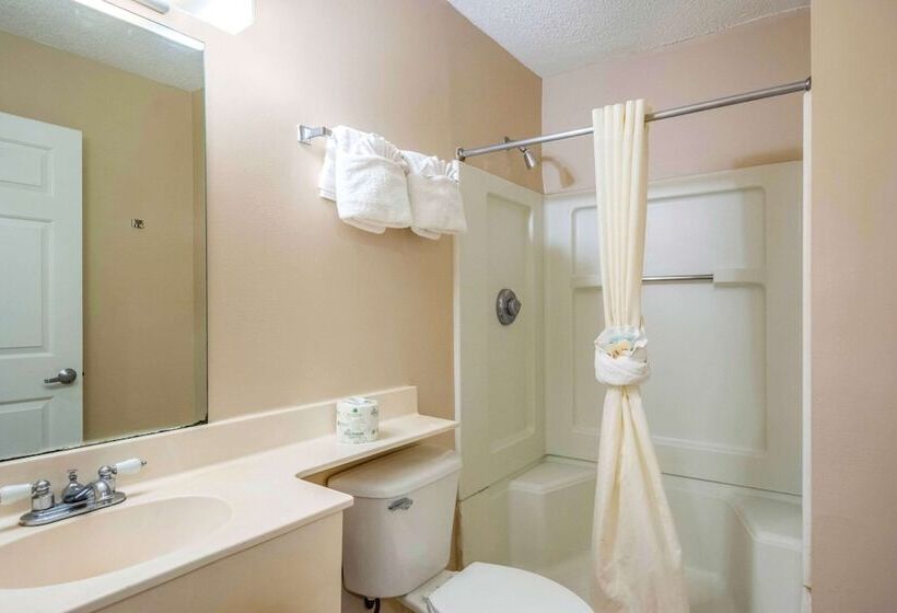 スタンダードルーム, Tampa Bay Extended Stay   Airport