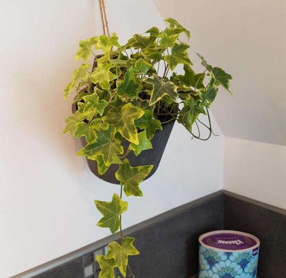 غرفة قياسية, La Clémencerie Chambre D Hôtes