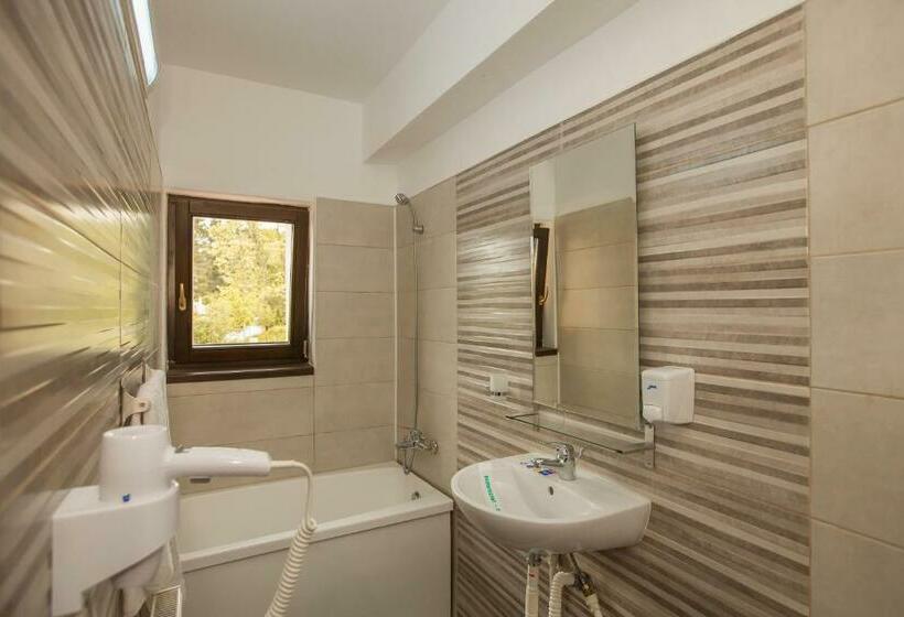 Номер Стандарт, Pensiunea Aurora