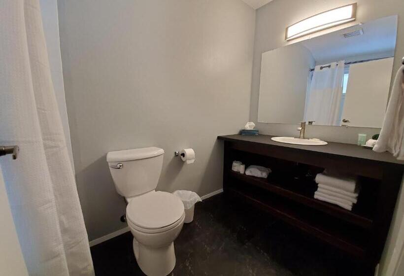 استودیوی لوکس, Celadon Lodge