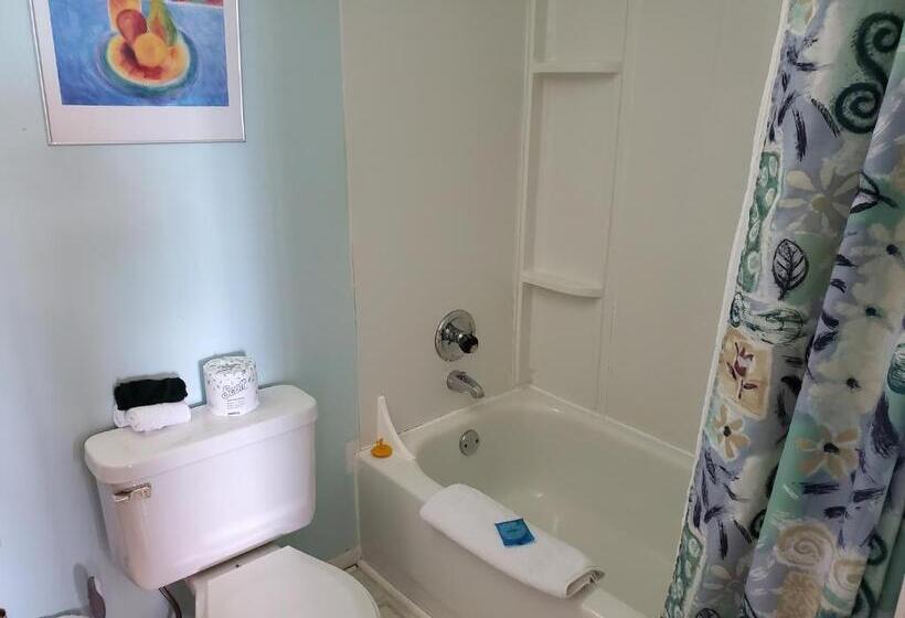 اتاق لوکس, Celadon Lodge