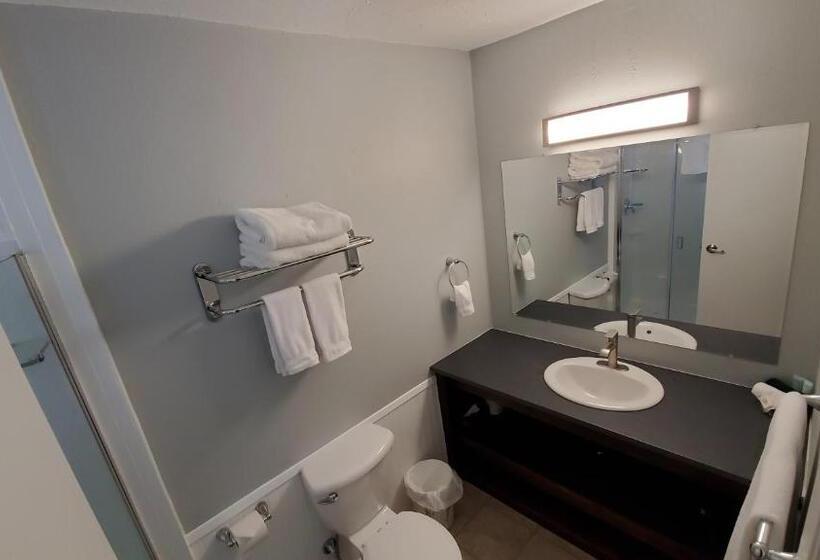 استودیوی لوکس, Celadon Lodge