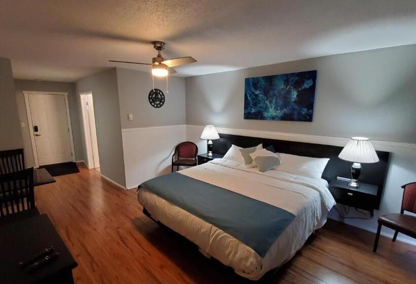 استودیوی لوکس, Celadon Lodge