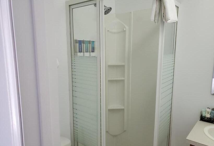 اتاق عادی, Celadon Lodge