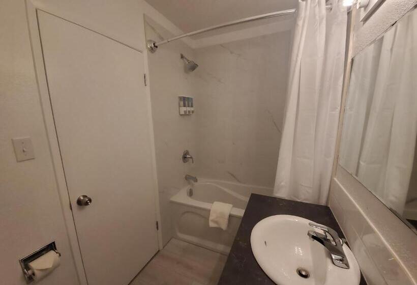 اتاق لوکس, Celadon Lodge