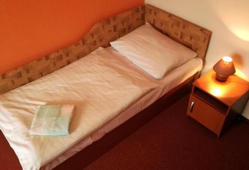 Quarto Estandar Individual, Penzión Inštitút