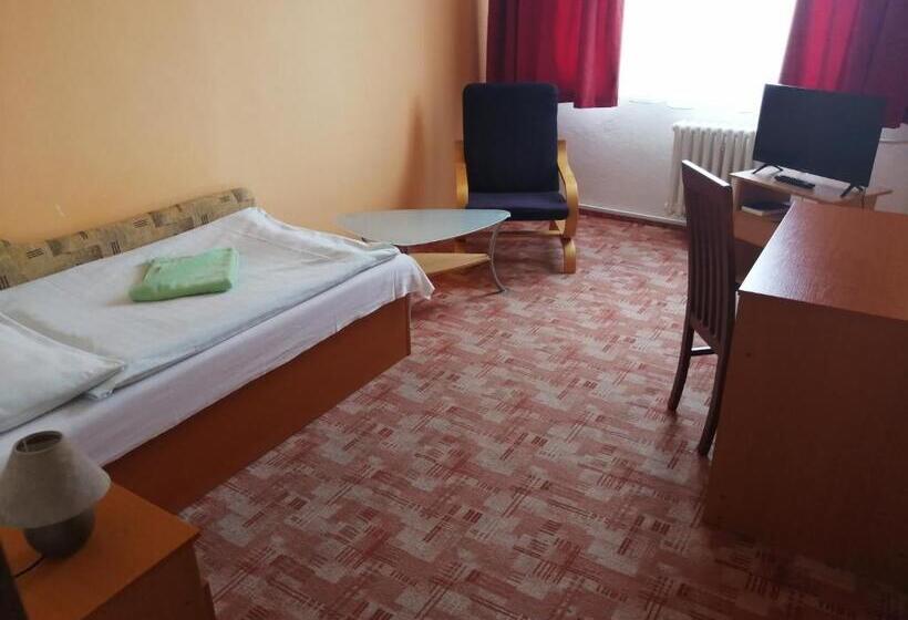 Quarto Estandar Individual, Penzión Inštitút