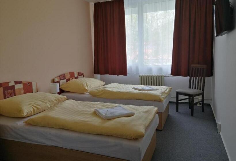 Quarto Quádruplo Estandar, Penzión Inštitút