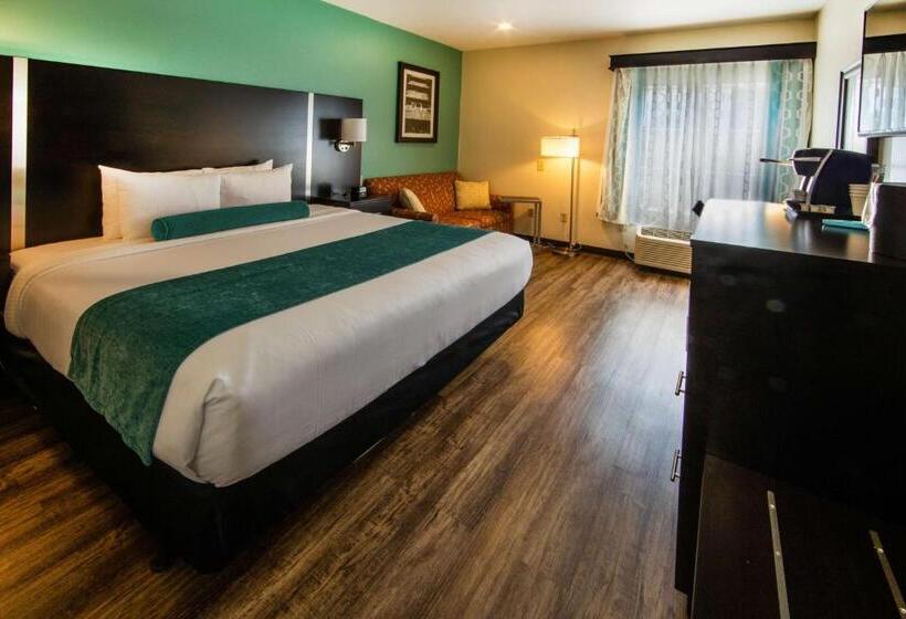 Quarto Estandar Cama King para Deficientes Físicos, City Express by Marriott Duluth