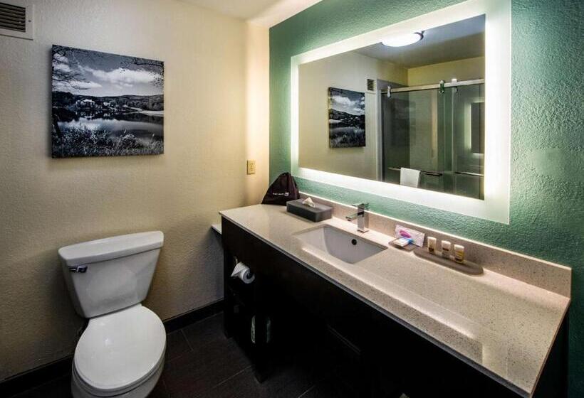 Quarto Estandar, City Express by Marriott Duluth