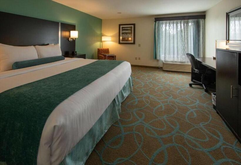 장애인을 위한 킹사이즈 침대 스탠다드 룸, Sugarloaf Hotel & Suites Duluth