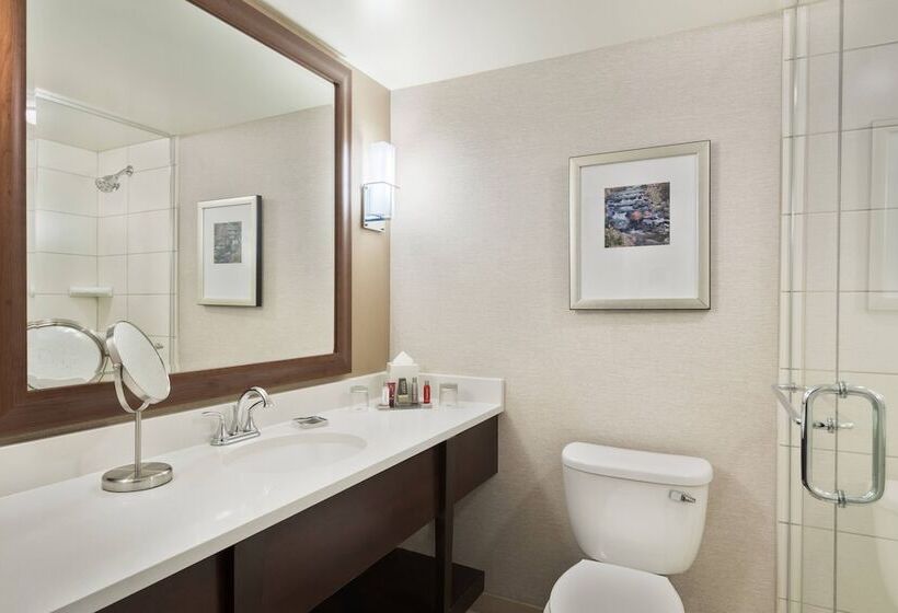 스탠다드 룸 더블 침대, Chicago Marriott Northwest