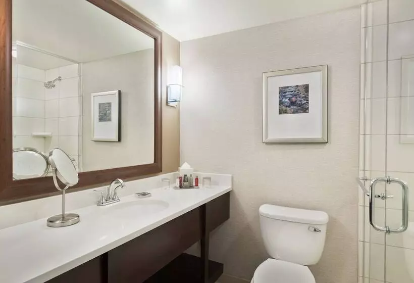 ダブルベッドスタンダードルーム, Chicago Marriott Northwest