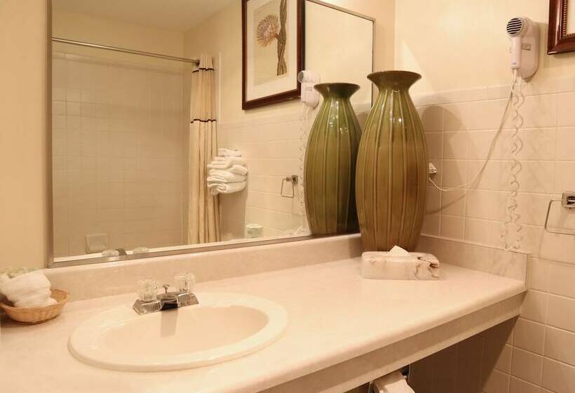 스탠다드 룸 더블 침대 2개, Cities Of Gold Casino