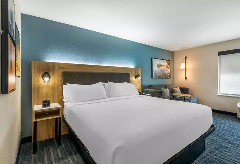 身障者適用キングサイズベッドルーム, City Express by Marriott Duluth