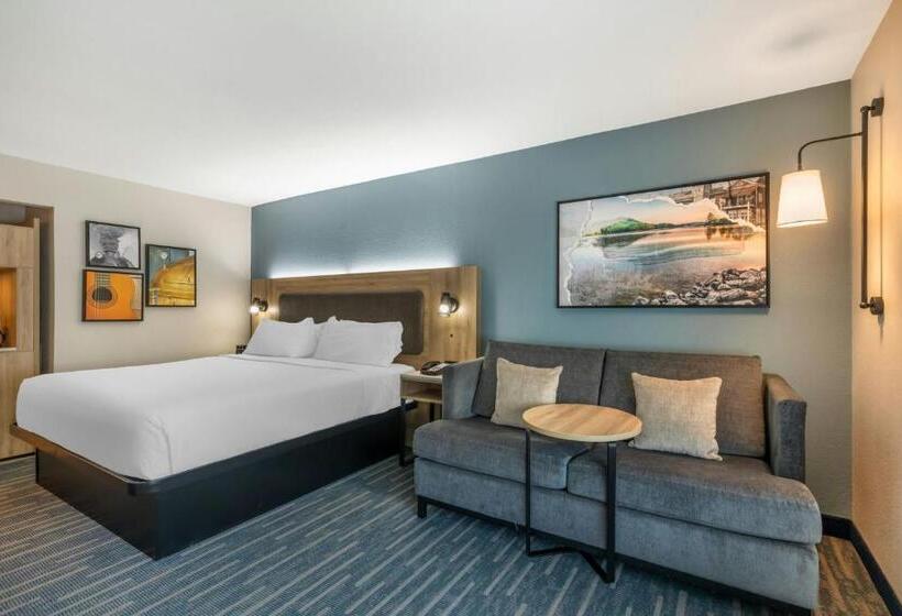 חדר סטנדרט, מיטת קינג, מותאם לאדם עם מוגבלויות, City Express by Marriott Duluth