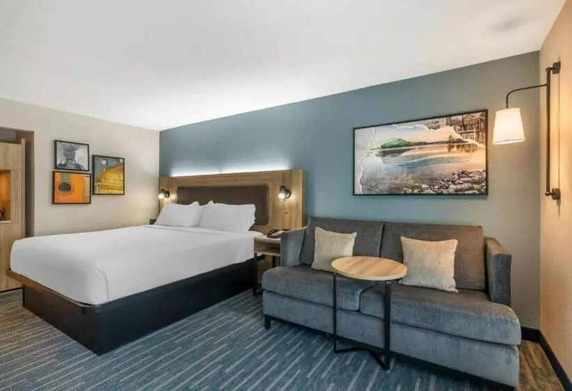 身障者適用キングサイズベッドルーム, City Express by Marriott Duluth