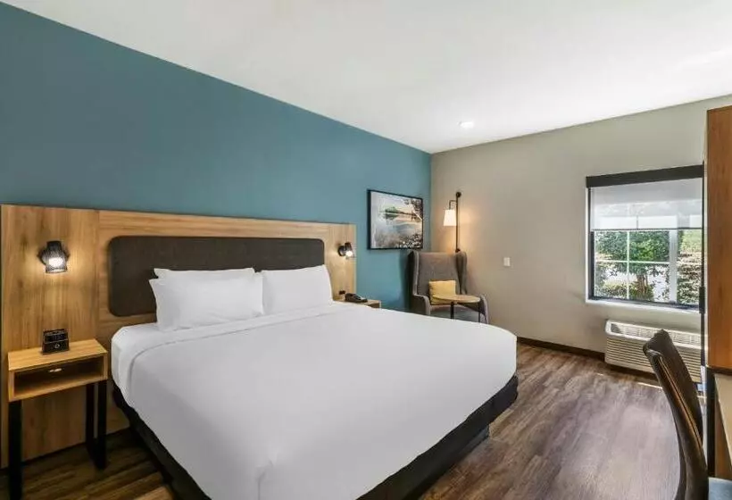 身障者適用キングサイズベッドルーム, City Express by Marriott Duluth