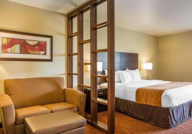 جناح لذوى الاحتياجات الخاصة, Comfort Suites