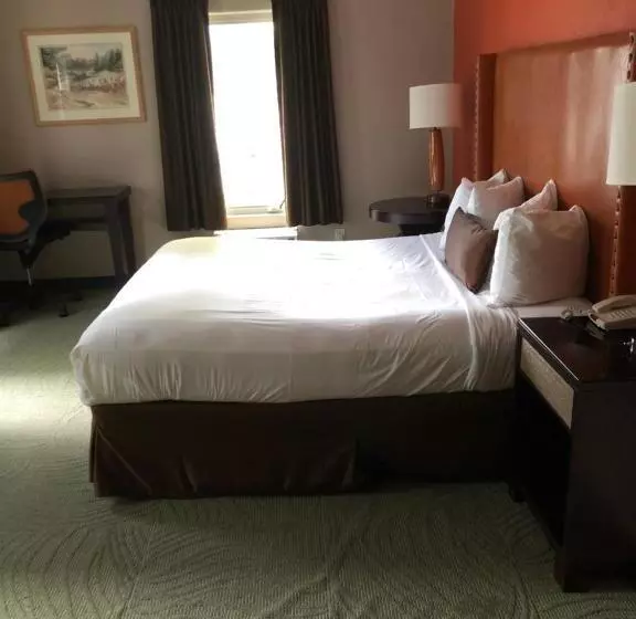 اتاق استاندارد, Downtown Value Inn