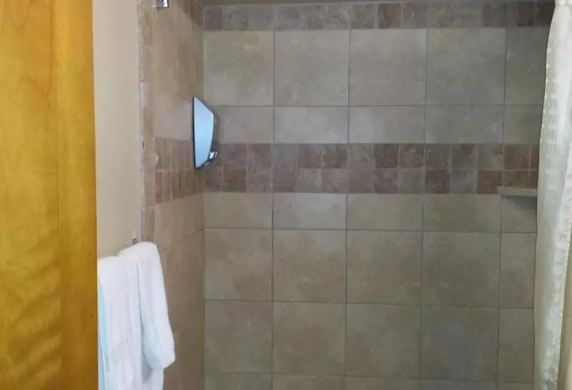 اتاق استاندارد با 2 تخت دوبل, Downtown Value Inn