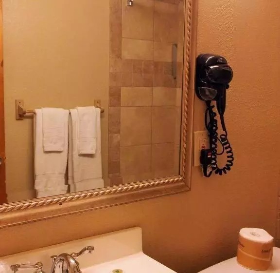 اتاق استاندارد با 2 تخت دوبل, Downtown Value Inn