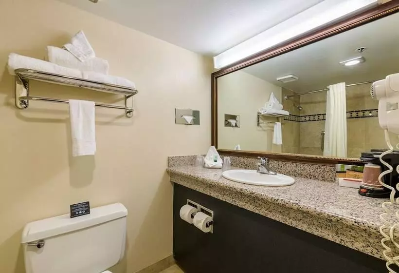 اتاق استاندارد با 2 تخت دوبل, Grand Vista Hotel Grand Junction