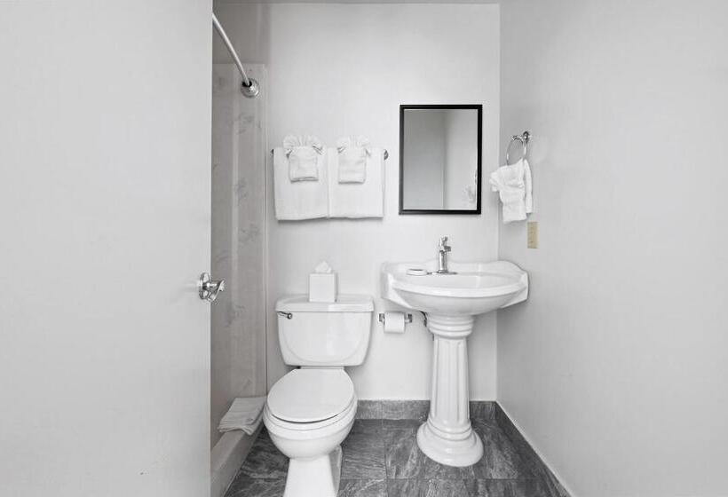 اتاق لوکس با تخت بزرگ, Historic Streetcar Inn