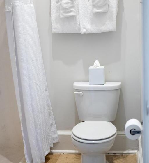 اتاق استاندارد با تخت بزرگ, Historic Streetcar Inn