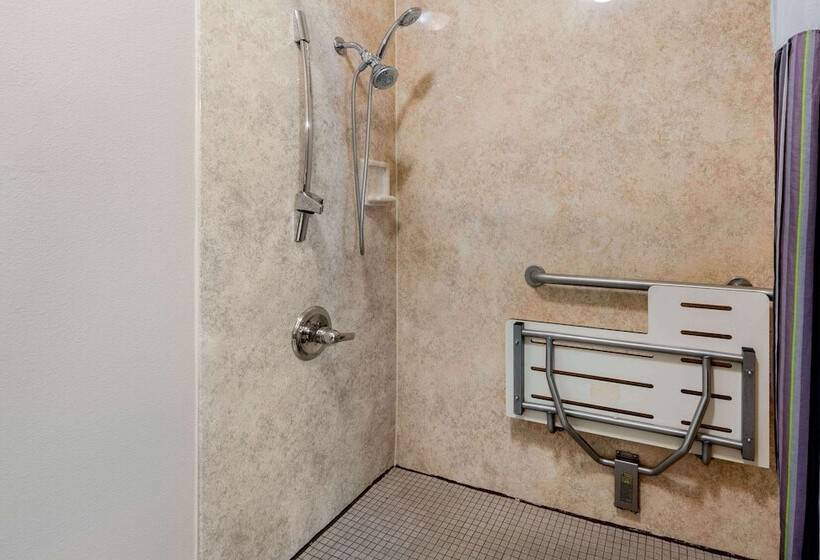 身障者適用スイートルーム, La Quinta By Wyndham Moab