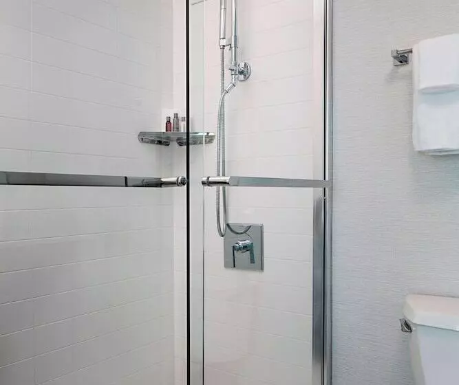 اتاق استاندارد با 2 تخت دوبل, Marriott Dfw Airport South