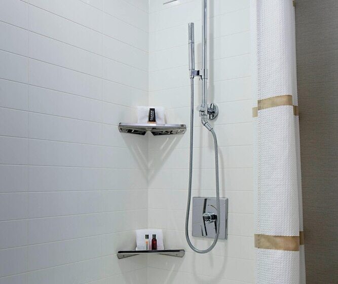 带2个双人床的标准工作室, Marriott Dfw Airport South