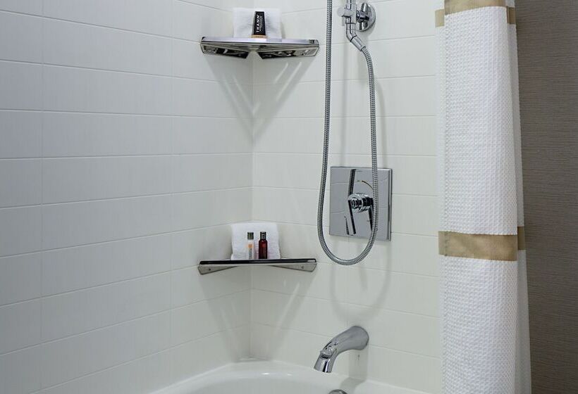 带2个双人床的标准工作室, Marriott Dfw Airport South