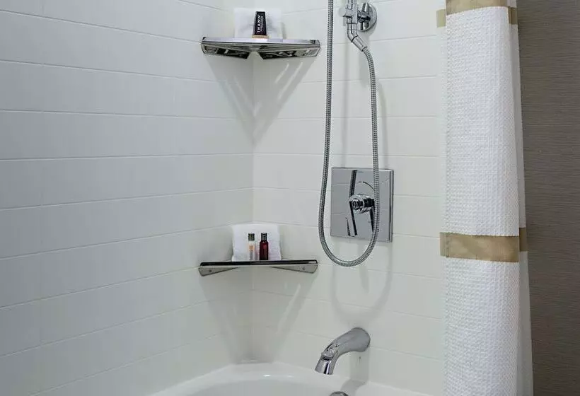 اتاق استاندارد با 2 تخت دوبل, Marriott Dfw Airport South