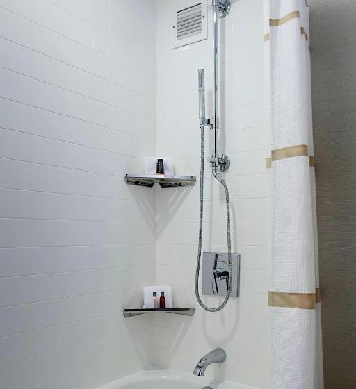 带2个双人床的标准工作室, Marriott Dfw Airport South