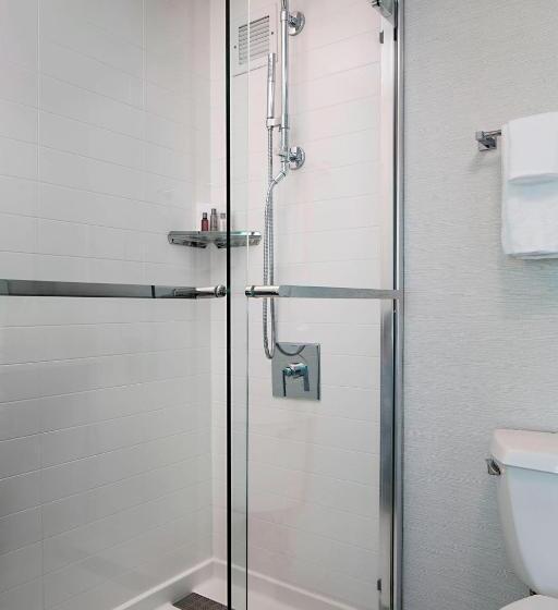 带2个双人床的标准工作室, Marriott Dfw Airport South