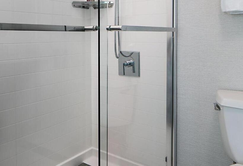 带2个双人床的标准工作室, Marriott Dfw Airport South