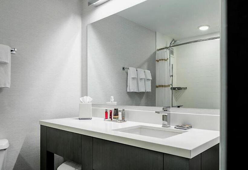 带2个双人床的标准工作室, Marriott Dfw Airport South