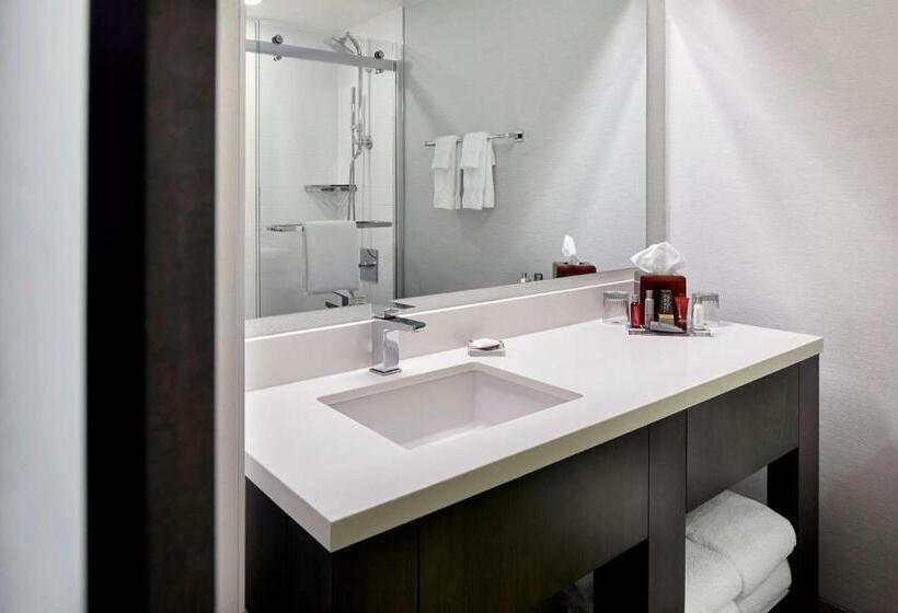 带2个双人床的标准工作室, Marriott Dfw Airport South