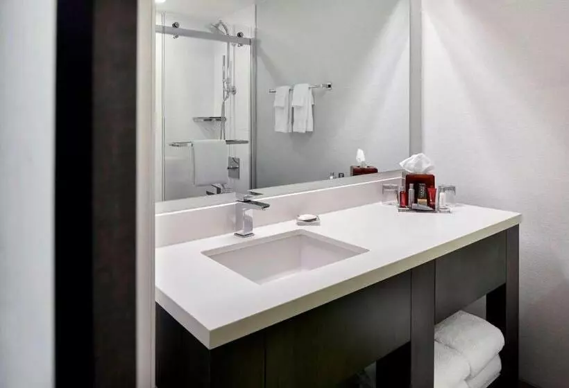 اتاق لوکس با تخت بزرگ, Marriott Dfw Airport South