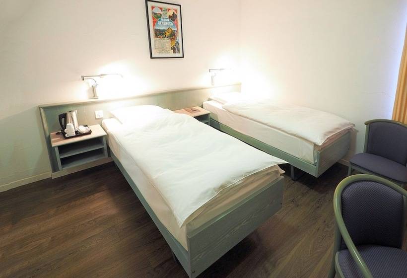 חדר ביזנס, Sommerau Ticino Swiss Quality